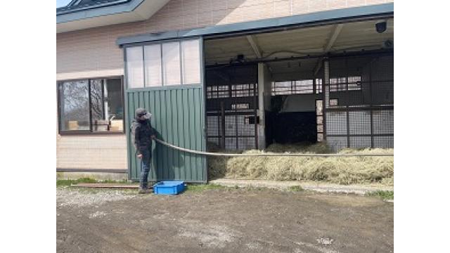 シュシュブリーズの種牡馬候補考察