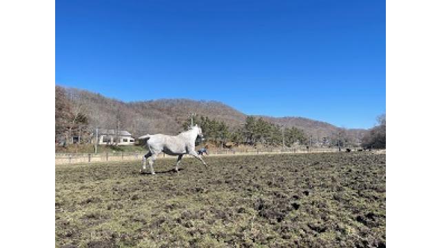 習慣化