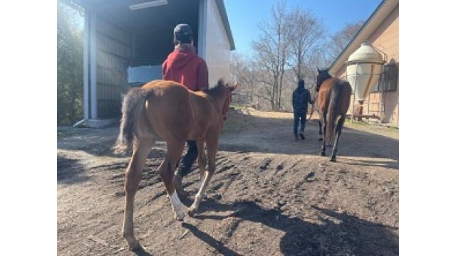 ブリーズアップセール2021