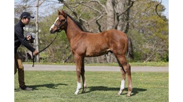 レポゼッション２０２１