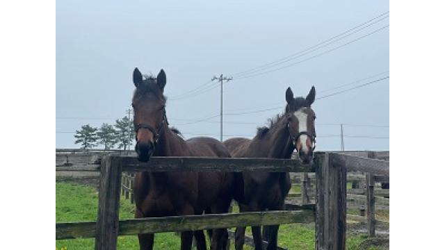 レスバ～SNS編～