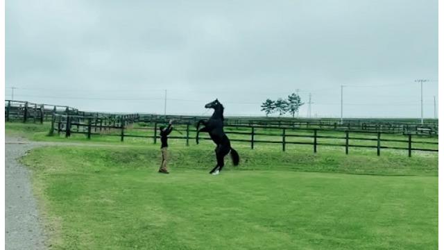 これは大変な事やと思うよ