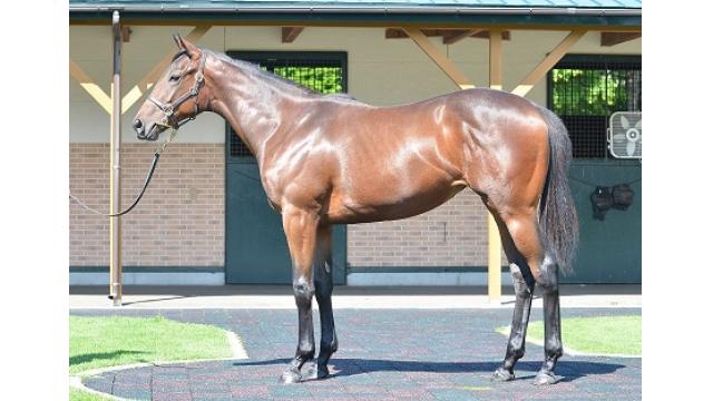 もしかしてかなり仕事をしているんじゃないだろうか