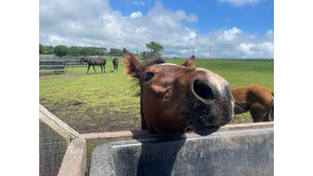 納得したり力尽くだったり