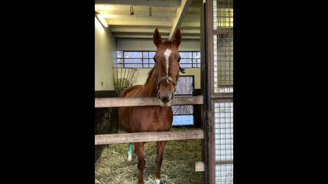 2月の収支をプラス五万に