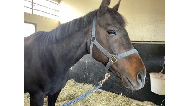 明日は新居訪問番組があるらしい