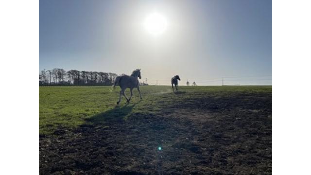 2022年デビュー新種牡馬診断　その5