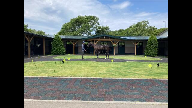 大井競馬
