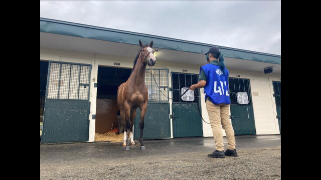 サマー2日目