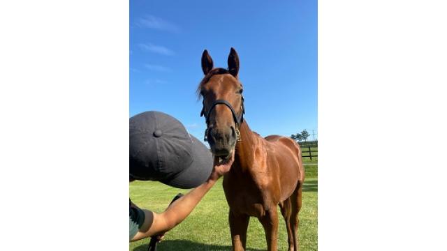 おかんの言い間違い