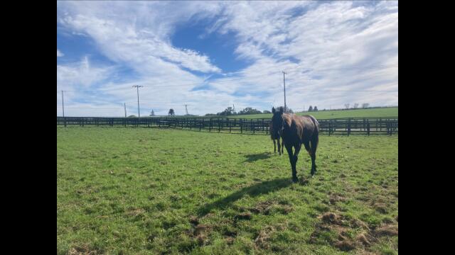 取り返せたのか