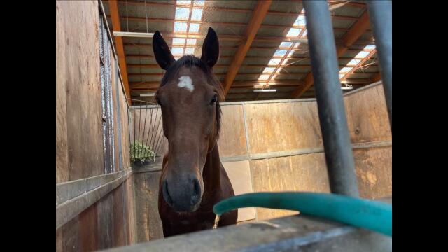 レポゼッション直検