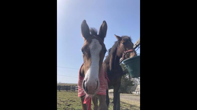 と、思ったんですが