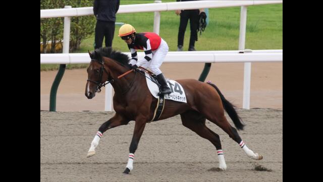 どやったら勝てるんですか
