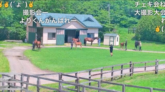 牝馬の行き先