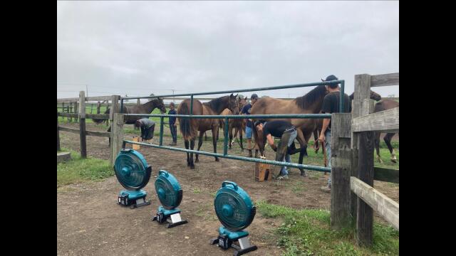 無尽蔵に腹が減る