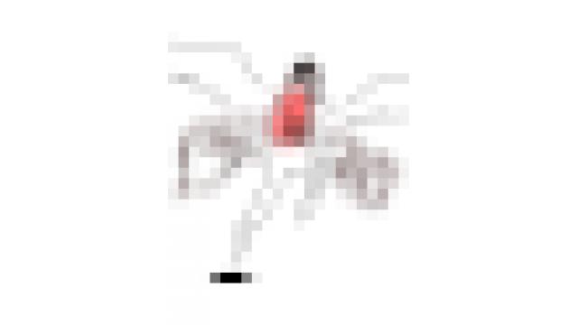 振り返っても羽音だけ　エイバタコラム2021年6月号