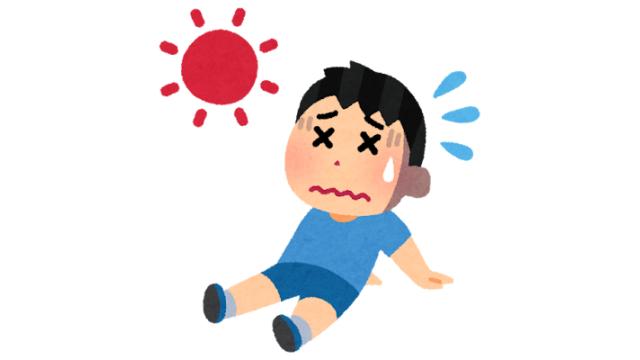 菅沼千紗 夢境の回転木馬 グッズセット 喜喜企画 on X: 