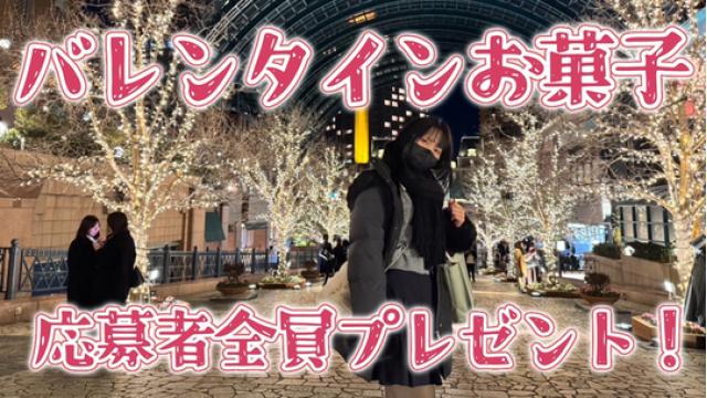 ざこむしにっき。