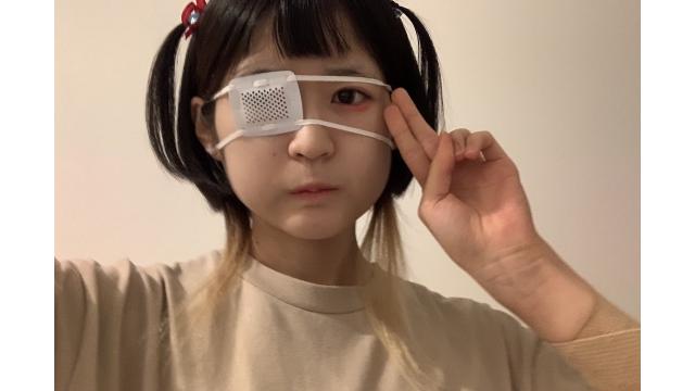 ⭐︎８月会員のお米様へ⭐︎