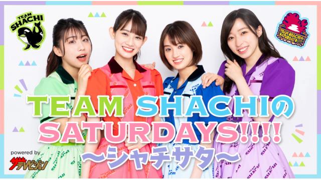 TEAM SHACHI×ザテレビジョン_ニコニコチャンネル開設＆初回生放送のお知らせ
