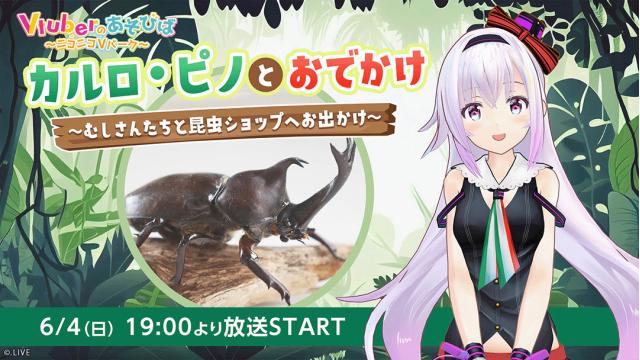 カルロ・ピノと「昆虫ショップ」へおでかけ 6月4日(日)虫の日に生配信