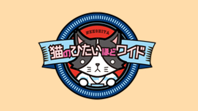 8月11日（木・祝）「猫ひたチャンネル」開設しました！