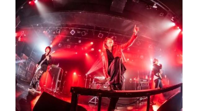 【KHIMAIRAリキッドルーム】🌺輸血子ちゃんのLOVE REPORT#30🌺