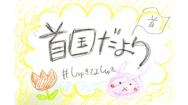 首国だより#6「ディズニーランド🏰🤍」