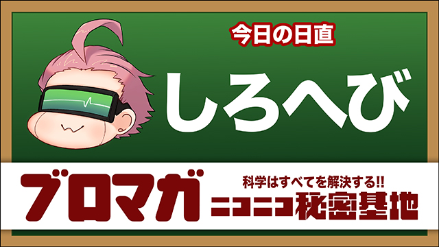 工務店顔負け？ 「壁」をDIYで自作する話：しろへび