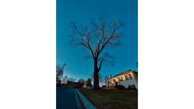 【ニコ生会員の皆様】 「ご報告と今後の予定」