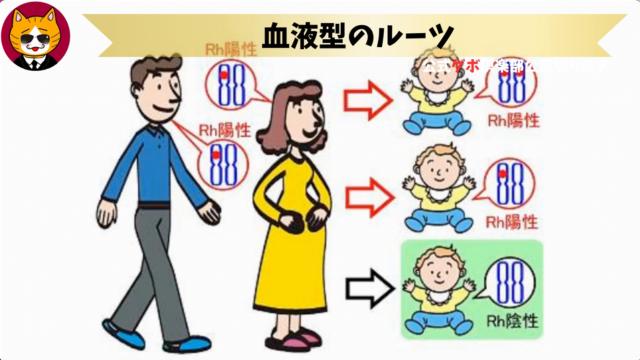 トレトレチャンネル公認切り抜き動画「血液型のルーツ」配信！！
