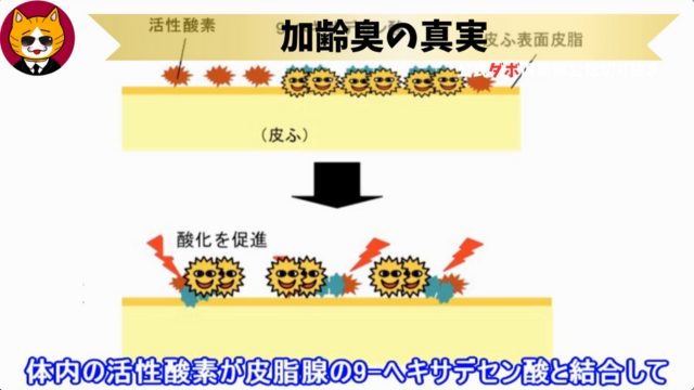 トレトレチャンネル公認切り抜き動画「加齢臭の真実」配信！！