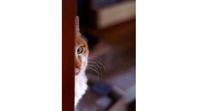 本部の方から聞いた衝撃的な内容・・