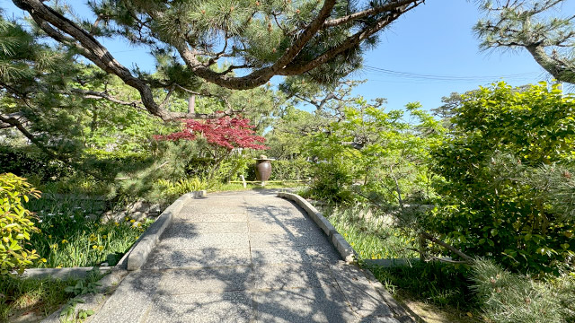 実はコミコンの後…こんなことある！？