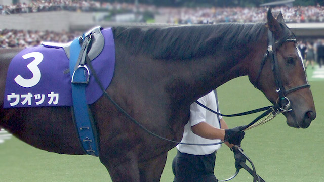 日本ダービーが来る！