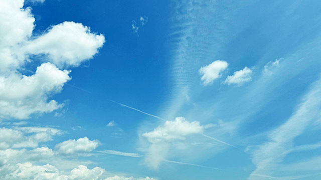 夢が一つ叶いました