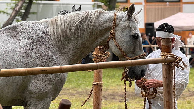 野馬追のこと、書くか迷った話