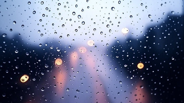 雨の日に、急に散歩したくなって