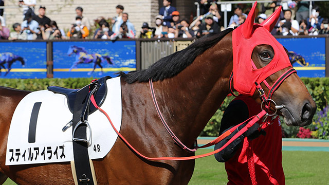 スティルアイライズのデビュー戦