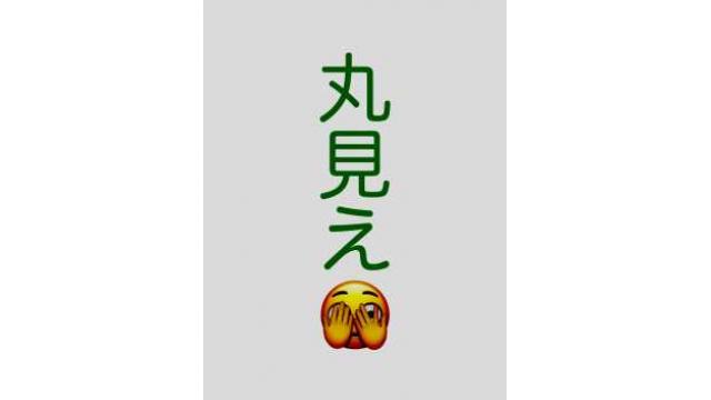 【第３４号】まいこの丸見えジョッキー👀　今週末最多２０鞍騎乗予定　丹内祐次騎手の土曜日まとめ