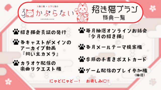 招き猫プラン、開設！