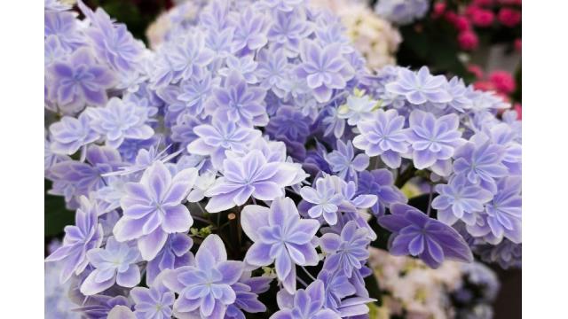 お出かけ日記  4/28