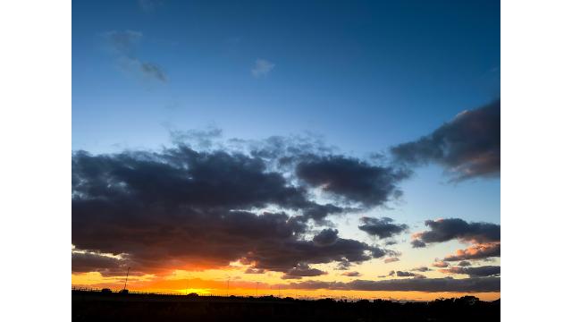 お出かけ日記  11/24
