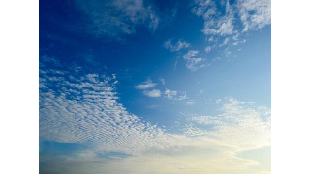 最近のいろいろ