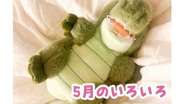 最近のいろいろ【5月号】