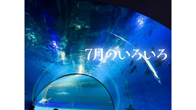 最近のいろいろ【7月号】