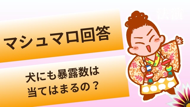 マシュマロ～犬にも暴露数はあるの？～