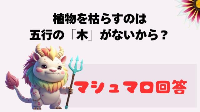 飯田ヒカル　バースデーパーティ　ブロマイドセット 飯田ヒカル バースデーパーティ ブロマイドセット 全20種①