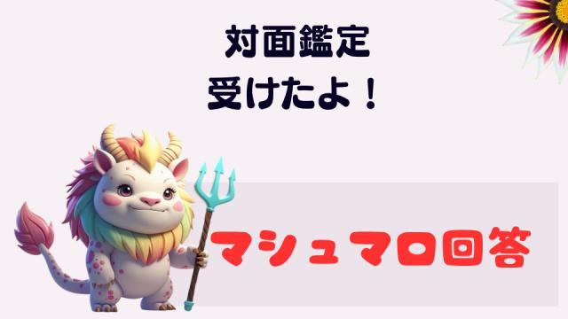 マシュマロ～対面鑑定受けたよ！～